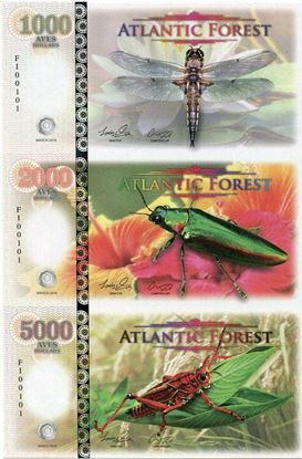 Picture of Atlantic Forest,1000/2000/5000 Aves SET,2016